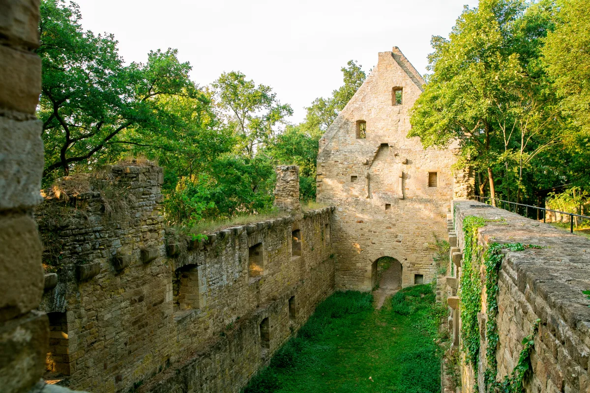 Mauerreste der Klosterruine Disibodenberg mit gr&uuml;n bewachsenem Innenhof zwischen B&auml;umen