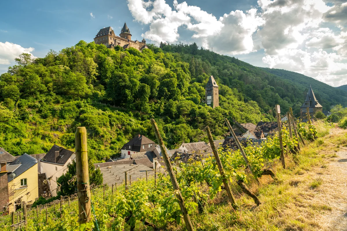Blick auf Burg Stahleck mit Weinbergen
